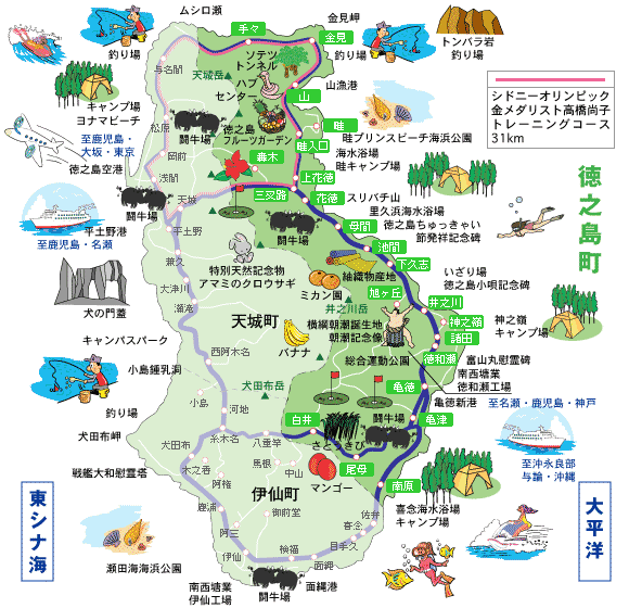 徳之島地図