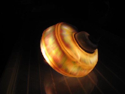 夜光貝のランプ